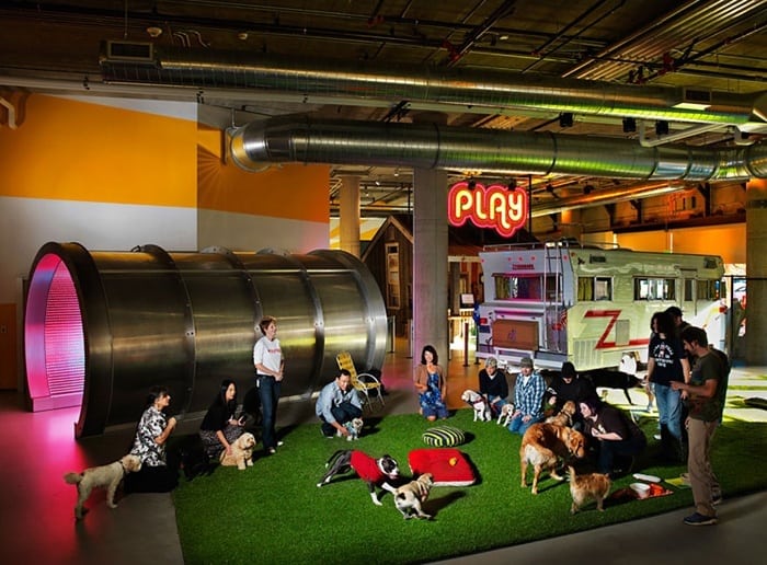 26oficinas_creativas_zynga